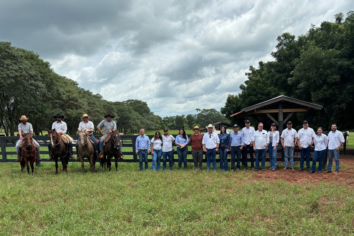 ABCZ realiza treinamento com Equipe Comercial da Central Leilões